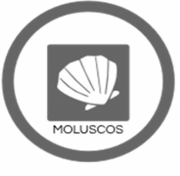 Moluscos